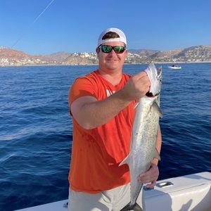 Meet your Posher, Brooks